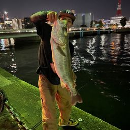 スズキ
