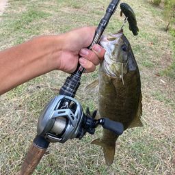 スモールマウスバス