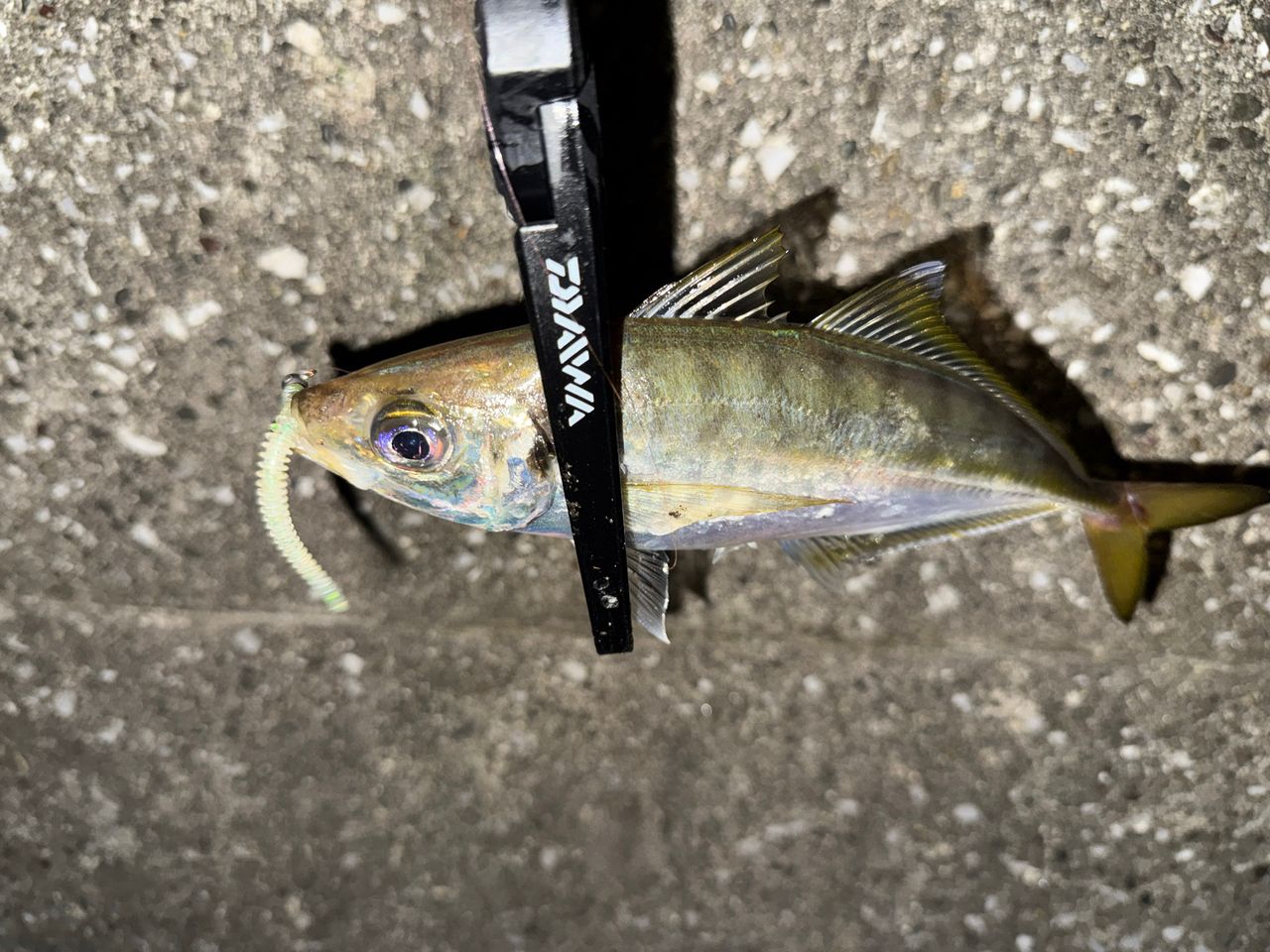 23月下美人 AIR 68L-T・W Daiwa 23 月下美人 AIR 68L-T