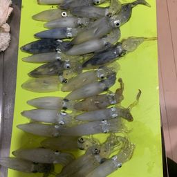 マメイカ