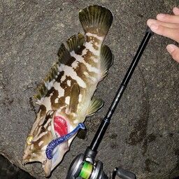 クエ