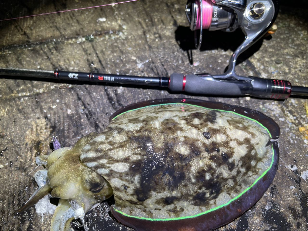 DAIWA 22エメラルダス ストイスト RT 82MHの最安値・インプレ