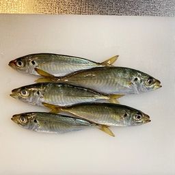 アジ