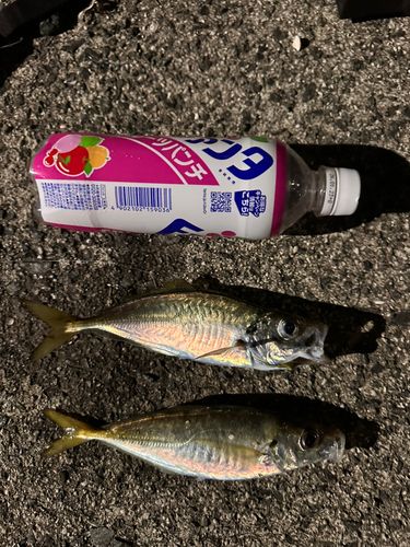 仙崎人工島