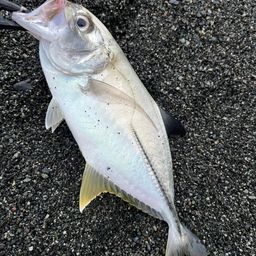 メッキ