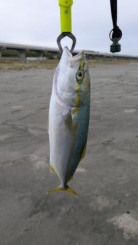 大倉戸海岸