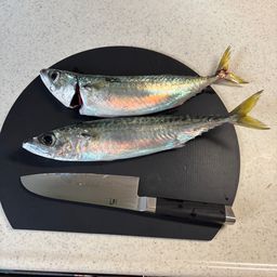サバ