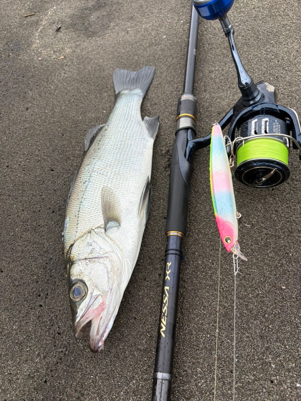 入手困難 22 シマノ ネッサ 熱砂 XR S110M/MH シマノ シマノ ネッサXR S110M/MH : 釣具のFTO ヤフー店 - 通販