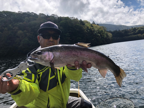 ニジマスの釣果