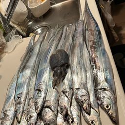 タチウオ