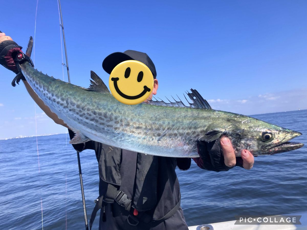 ふじFujiさんの釣果 1枚目の画像