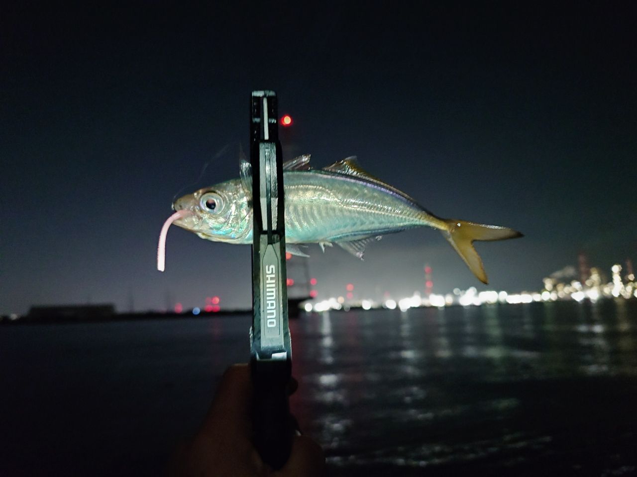 アジ