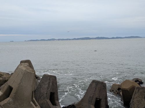 県北サーフ