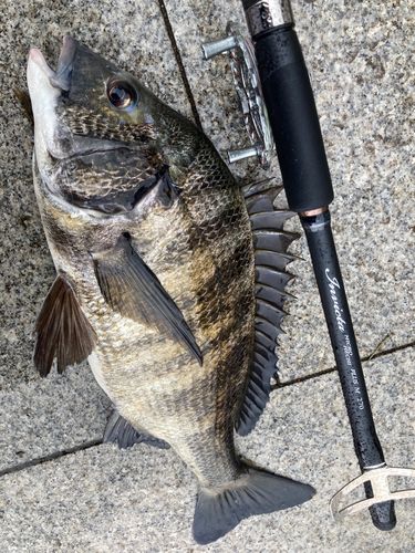 豊洲ぐるり公園