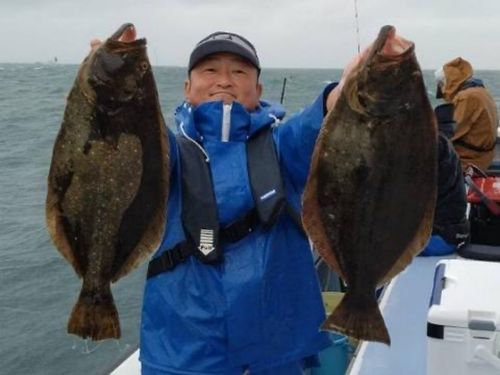 ヒラメの釣果