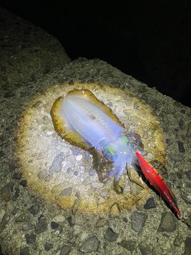 燧灘