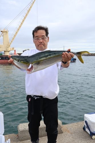 大阪湾