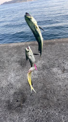 加部島