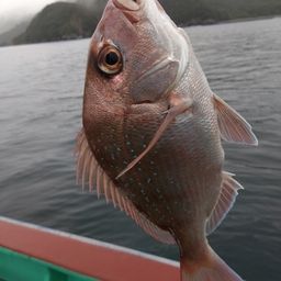 タイ