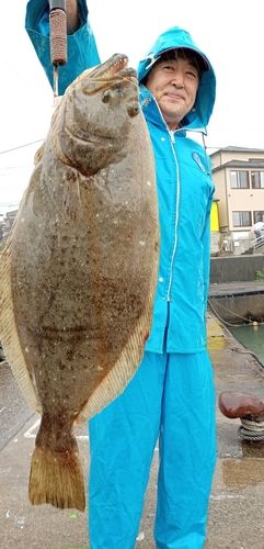 ヒラメの釣果