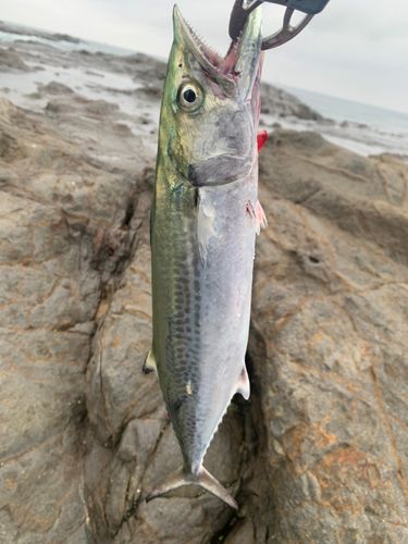 江ノ島裏磯