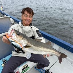 シーバス