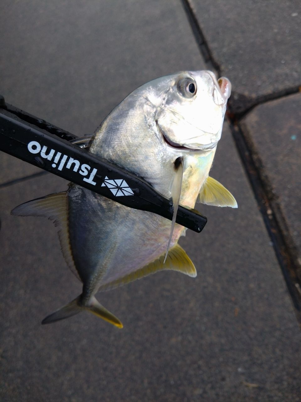 OLYMPIC 20コルト UX GCORUS-572UL-HSの最安値・インプレ・釣果