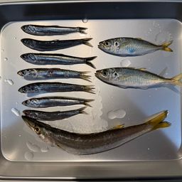 カマス