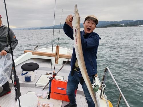 ハモの釣果
