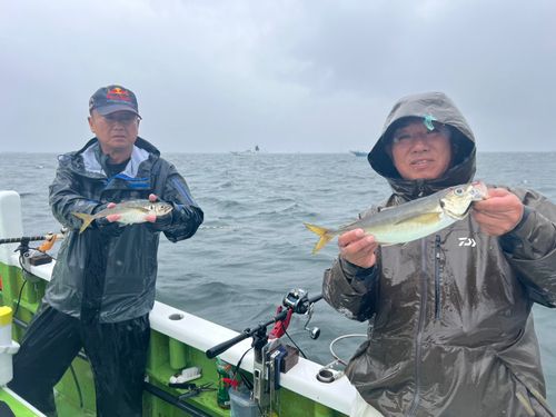 マアジの釣果