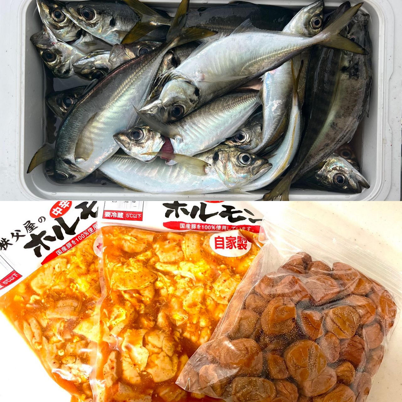 マアジ