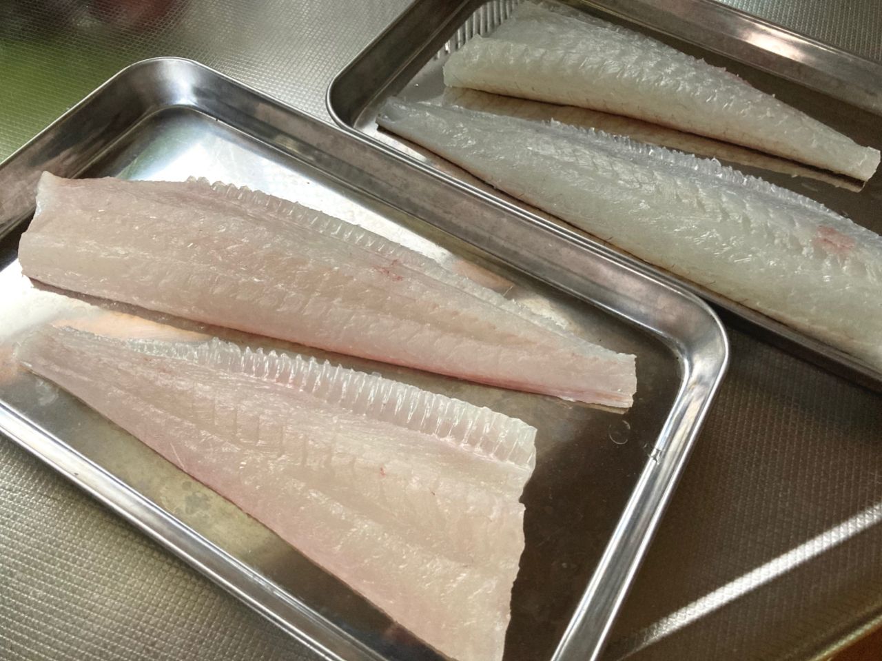 ヒラメ
