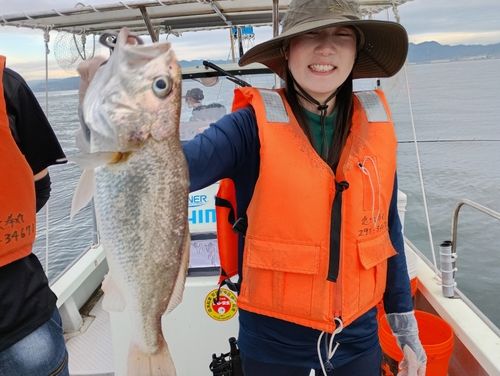 イシモチの釣果