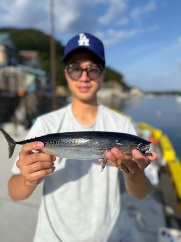 戸田湾