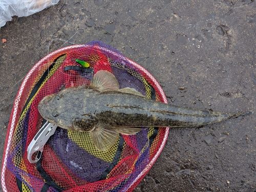 木更津沖堤防