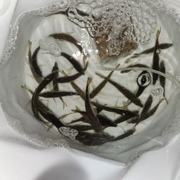 アジ