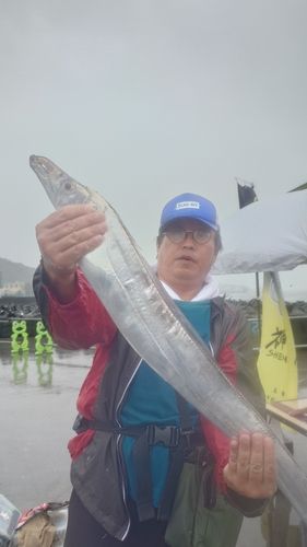 タチウオの釣果