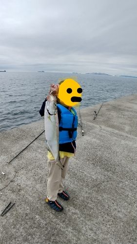 ターポンの釣果