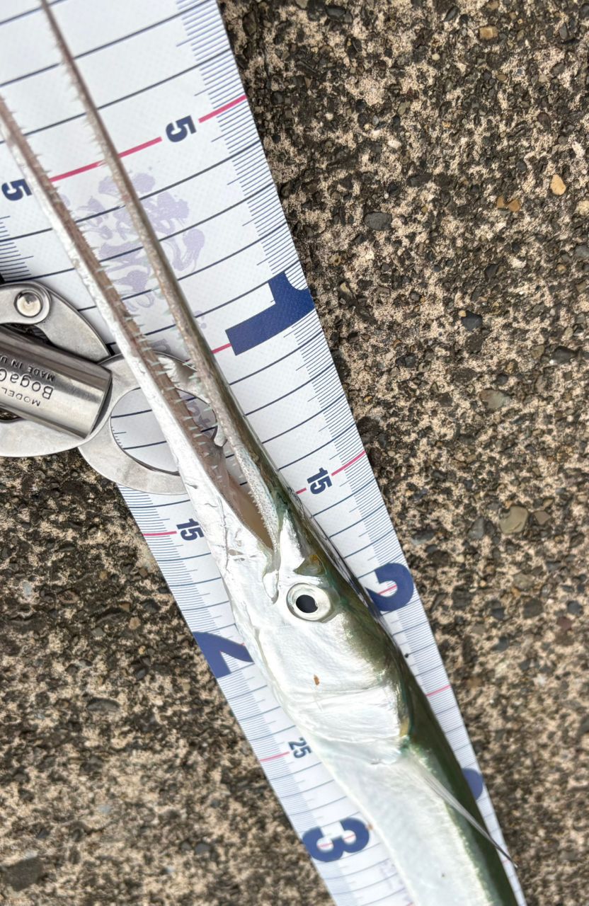 APIA Foojin AD ハイローラー 104ml アピア Foojin AD ハイローラー(HIGH ROLLER) 104ML Foojin'AD