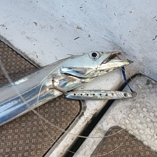博多湾