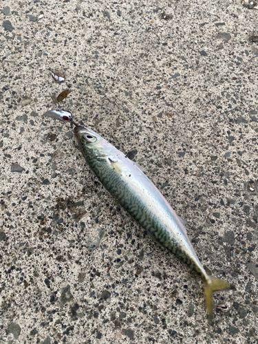 石狩湾新港