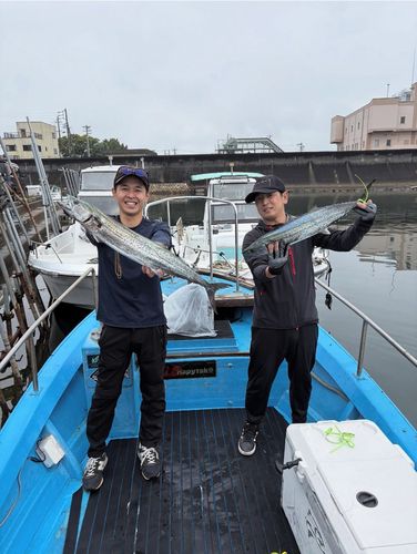 サワラの釣果