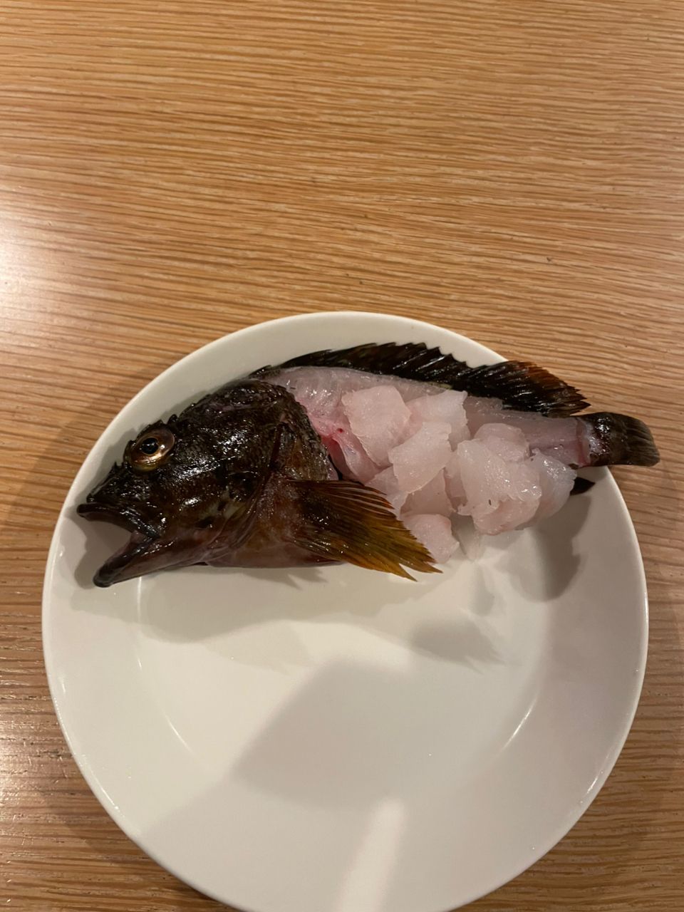 カサゴ