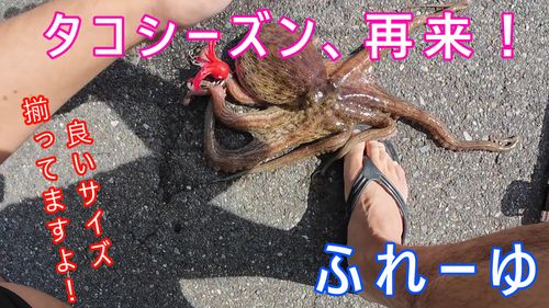 ふれーゆ