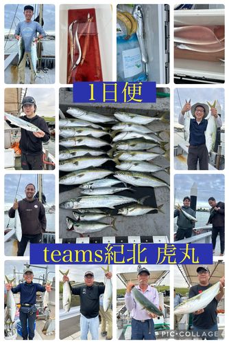 メジロの釣果