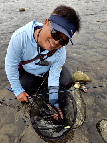 アユの釣果