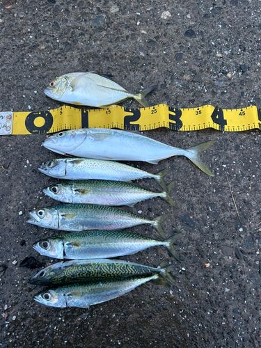 表浜名湖