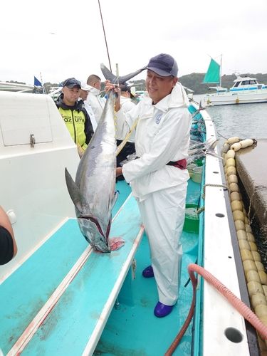 キハダマグロの釣果