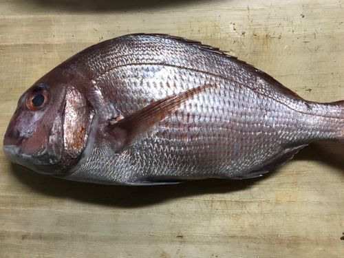 小名浜港アクアマリンふくしま周辺