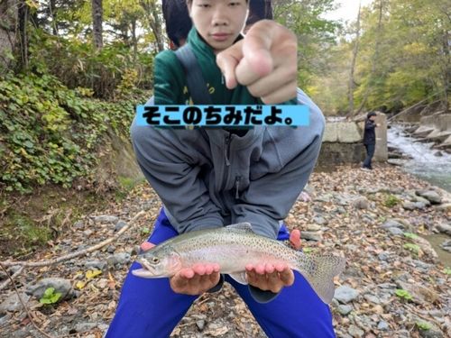 ニジマスの釣果